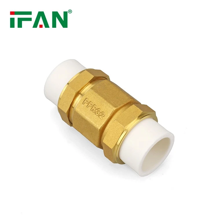 DIN 8077 PPR Check Valve